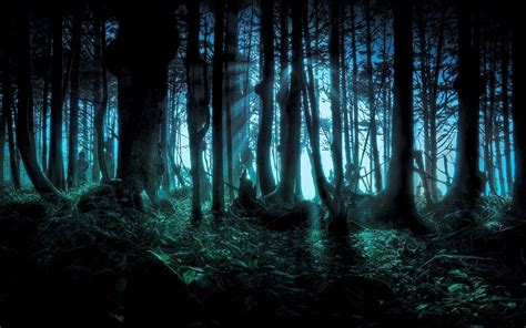 Dark Forest Anime Wallpapers - Wallpaper Cave