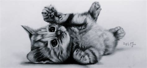 panda and kitten - Google Search | Kitten drawing, Images of cute cats ...