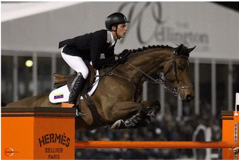 Hermès is Looking for Winners! - HorsesDaily