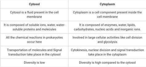 Distinguish between cytoplasm and cytosol - brainly.com