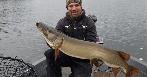 Muskie vs Northern Pike: How These Apex Predators Compare – Musky Shop