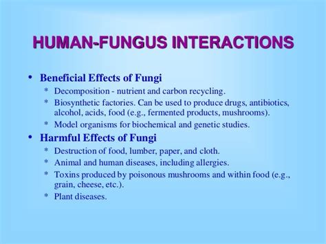 Fungi