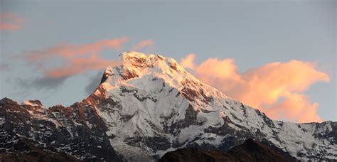 Annapurna Highlights & Wildlife | PaliGhar Experiences