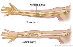 Pin on Musculoskeletal Health