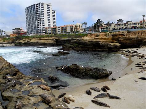 La Jolla California -"The Jewel City" has some of the Best Beaches in ...