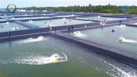 Proyek Tambak Udang Modern Terbesar di Indonesia Garapan Adhi Karya ...