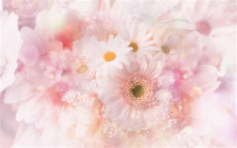 🔥 [67+] Cute Flower Backgrounds | WallpaperSafari