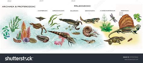 237 Proterozoic Images, Stock Photos & Vectors | Shutterstock