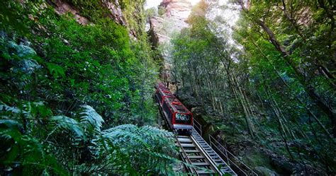 Scenic Railway retains position as world’s steepest passenger railway ...