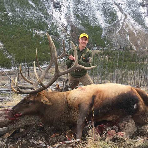 Elk Hunting in Wyoming