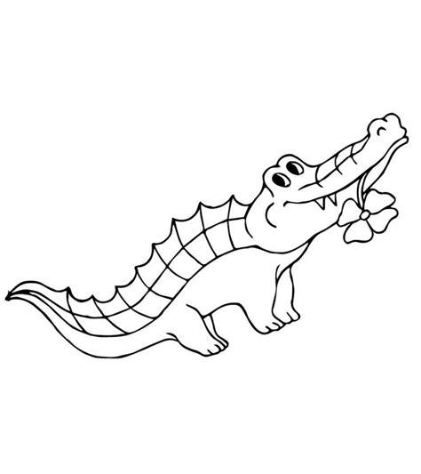 32 best ideas for coloring | Baby Alligator Coloring Pages