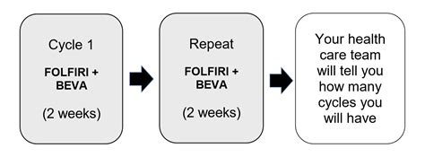 FOLFIRI+BEVA Patient Information | Cancer Care Ontario