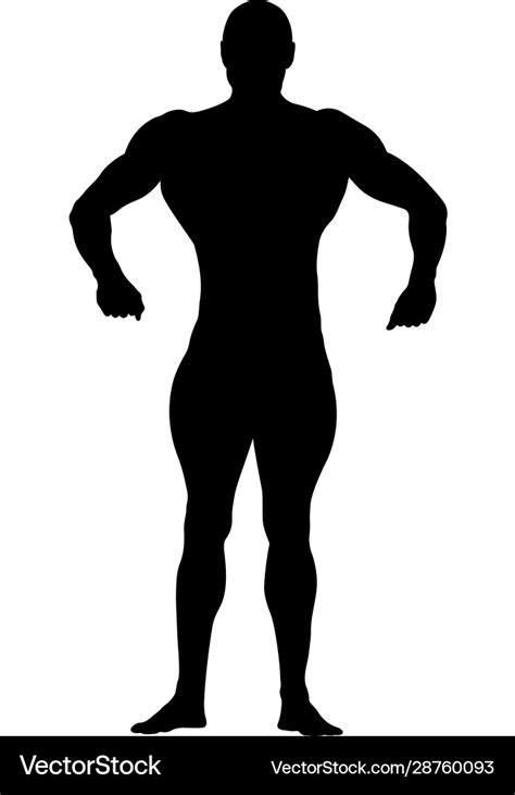 Athletic bodybuilder Royalty Free Vector Image