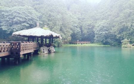 Alishan National Scenic Area, Chiayi | Ticket Price | Timings | Address ...