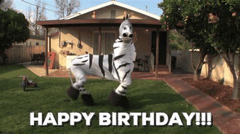 Happy Birthday Funny GIFs - Get the best GIF on GIPHY