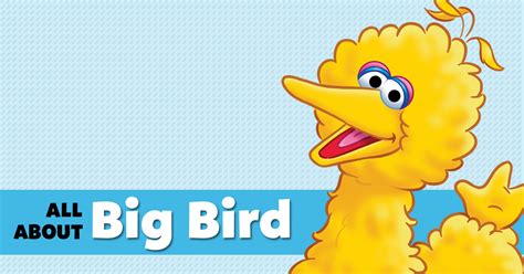 Five Feathery Facts About Big Bird - Studio Fun International