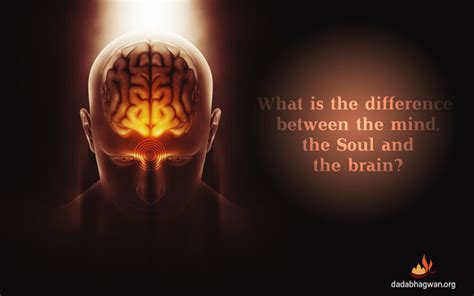 Mind and Soul | Mind and Brain | Mind, Brain and Soul