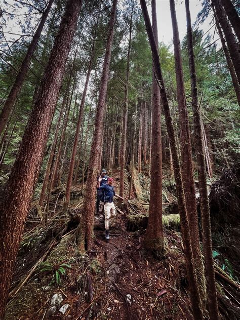 Review: Clayoquot Wilderness Lodge Takes Glamping to a Whole New Level