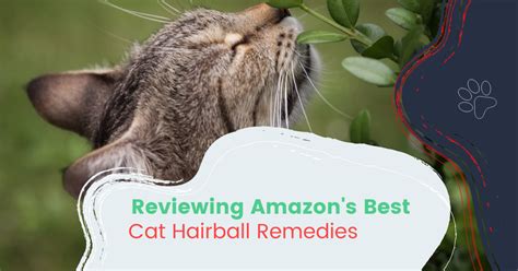 Reviewing The Best Cat Hairball Remedies 2024 - I Love Veterinary