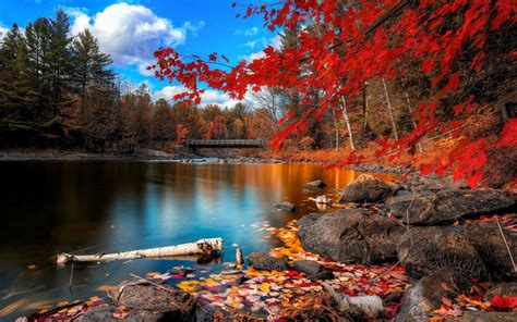 Hình nền thu đẹp mắt 4k fall desktop backgrounds với độ phân giải cao nhất