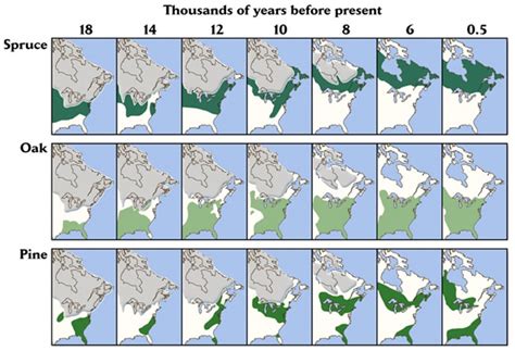 The State of Maine and Climate Change