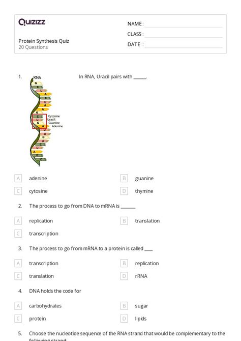 50+ rna and protein synthesis worksheets on Quizizz | Free & Printable