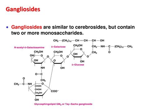 PPT - Compound and Derived Lipids PowerPoint Presentation, free ...