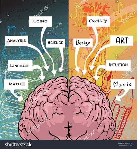 Left Right Side Brain Logic Creativity: vector de stock (libre de ...