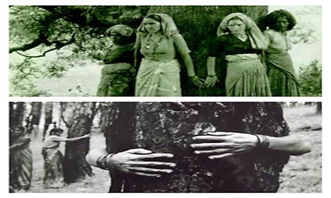 Risking Life To Save Trees: The Chipko Movement Of India, An ...