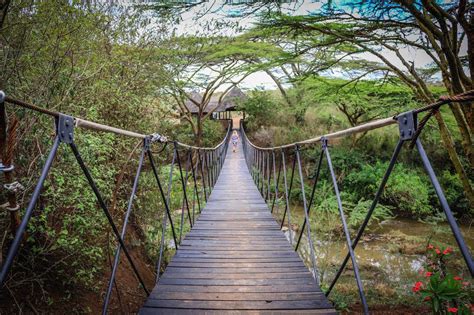 Nairobi National Park Safari Guide • Inside Kenya's Park