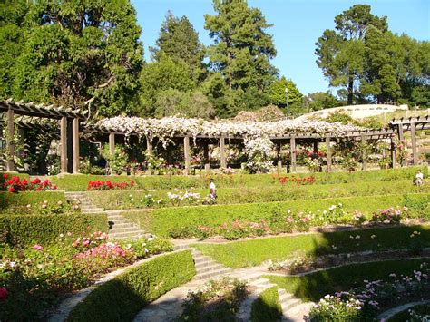 9 Best Gardens in San Francisco | Botanical Gardens in San Francisco