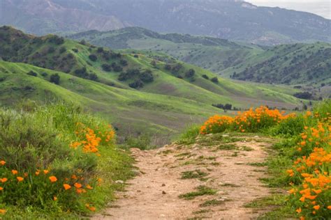 15 Best Things to Do in Chino Hills (CA) - The Crazy Tourist