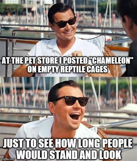 Leonardo Dicaprio Wolf Of Wall Street Memes - Imgflip