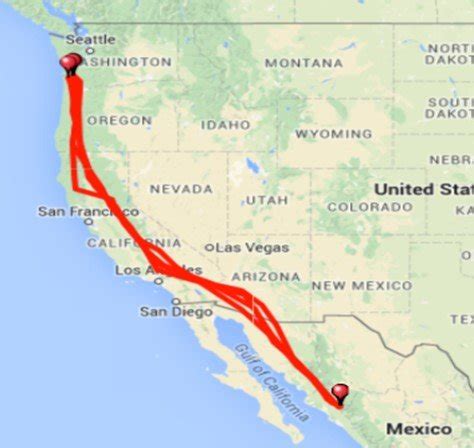 2006-2009 southern migration of a Turkey Vulture "Rosalie" PTT-57956 ...