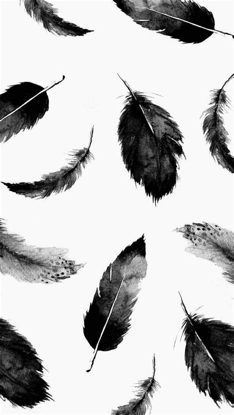 Black and White Feather Wallpaper for iPhone