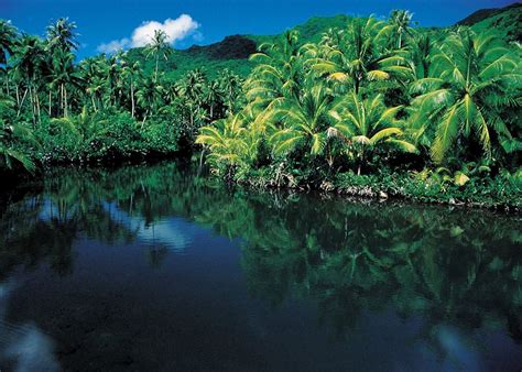 Visit Raiatea on a trip to French Polynesia | Audley Travel US