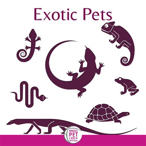 Exotic Pets – Podcast – Podtail