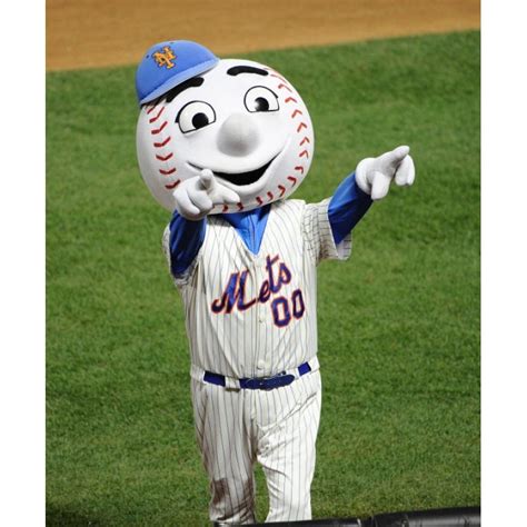 Men Mets mascot costumes