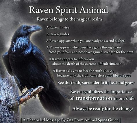 Raven Spirit Animal