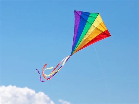 Flying Kites is Family Fun! – Earth Toys