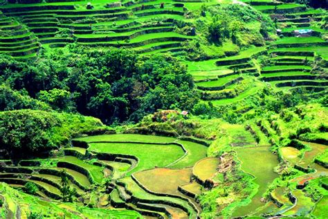 Filipinas Beauty: Banaue Rice Terraces of Ifugao Mountain, Philippines