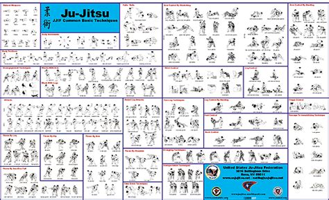 Jiu Jitsu Moves Pdf