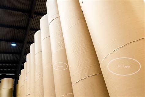 Paper Supplier -Warehouse Stock Paper | PG Paper