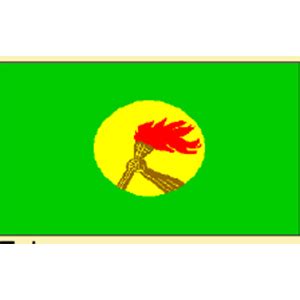 Zaire Flag - Flags2020 - Bob Hughes Display