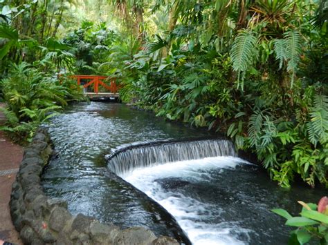 Best place we visited in Costa Rica - Tabacon Hot Springs | Tabacon hot ...