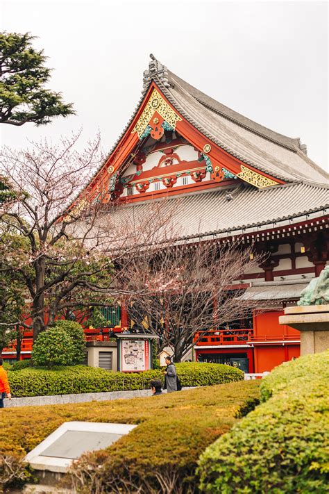 8 Things You Should Know Before Visiting Asakusa Sensoji Temple During ...