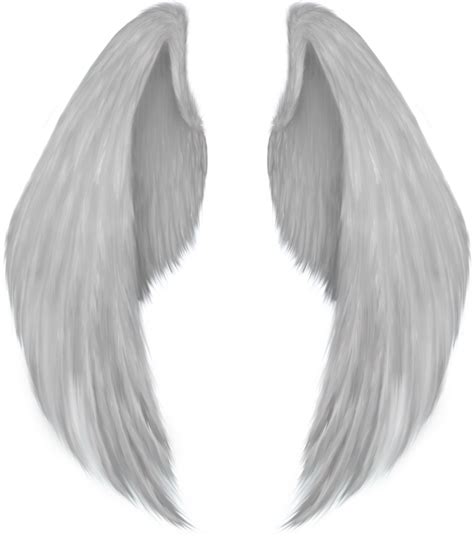 Angel wing Drawing - wings png download - 1061*1201 - Free Transparent ...