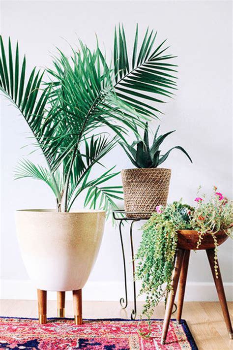 Mid-Century Indoor Planters – Honestly WTF