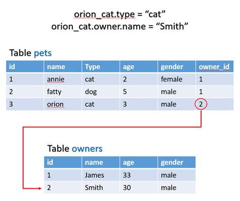 SQLAlchemy in Python (with PostgreSQL) | by Kevin Wei | Medium