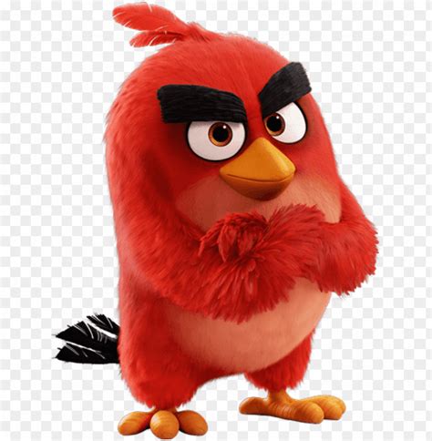 Free download | HD PNG red angry birds PNG transparent with Clear ...